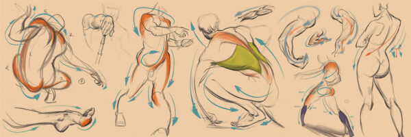 Force : Figure Humaine ●Mike Mattesi